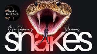 Episode thumbnail